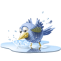 poolbird_small.png