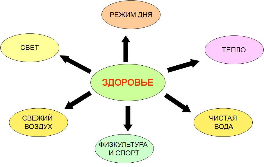 Схема Расти здоровым.JPG