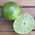 Fresh lime1-125x125.jpg