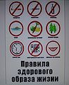 Миниатюра для версии от 13:52, 16 декабря 2010