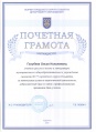Голубева почетная грамота ДО 2010.JPG
