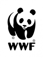 Wwf.jpg