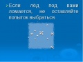 Миниатюра для версии от 10:08, 9 февраля 2011