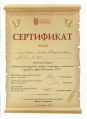 Сертификат конкурс учителей Голубева.JPG