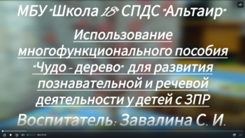 Завалина дс.png