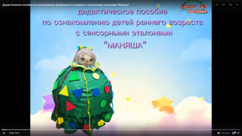 Вахитова Ванян дс.png